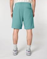 Teal Monstera - C060
