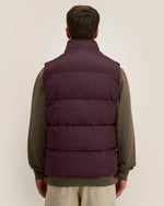 Red Brown - C116