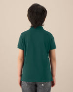 Glazed Green - C036