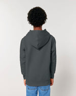 Anthracite - C253