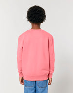 Pink Joy - C360