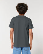 Anthracite - C253