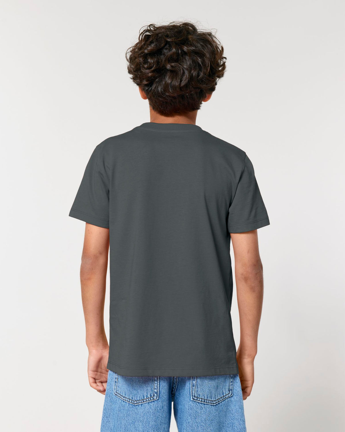 Anthracite - C253