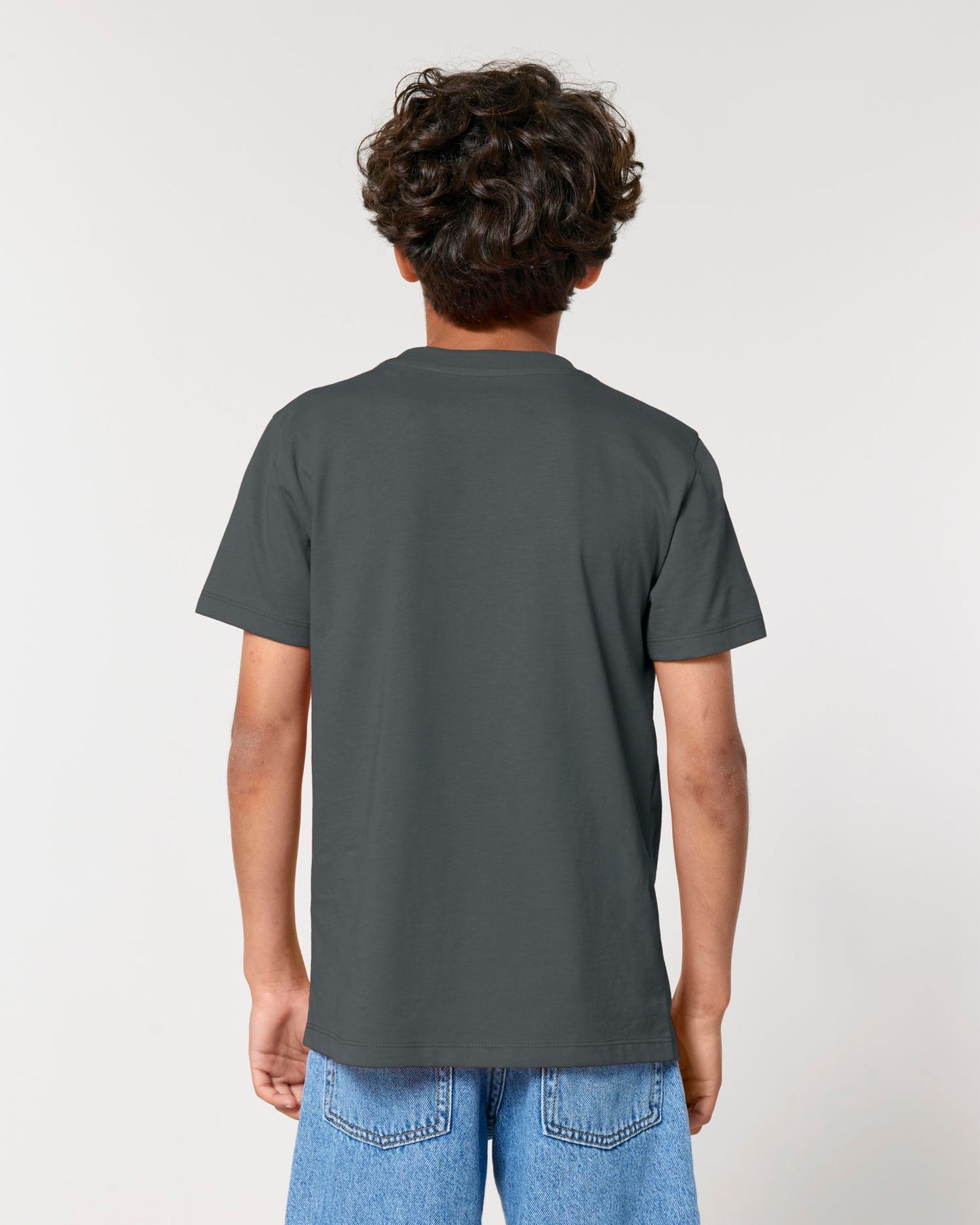 Anthracite - C253