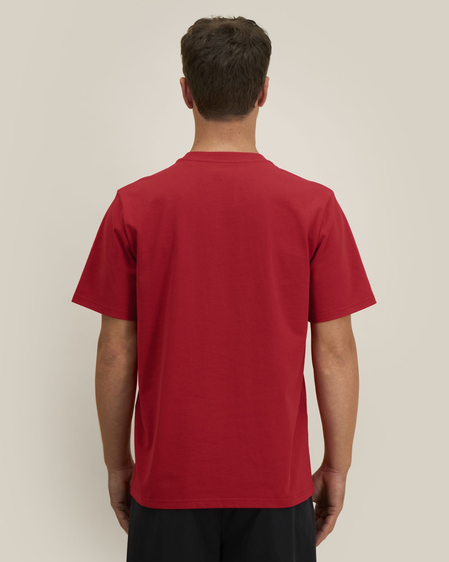 Passionate Red - C172