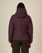Red Brown - C116
