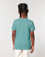 Teal Monstera - C060