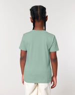 Aloe - C089