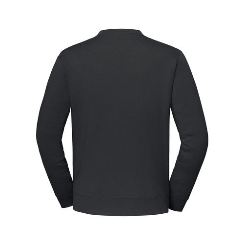SC2282_7M_back_IBX_2026.jpg