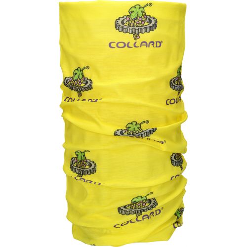 SCARFYRPET_Collard-id345-mai26.jpg
