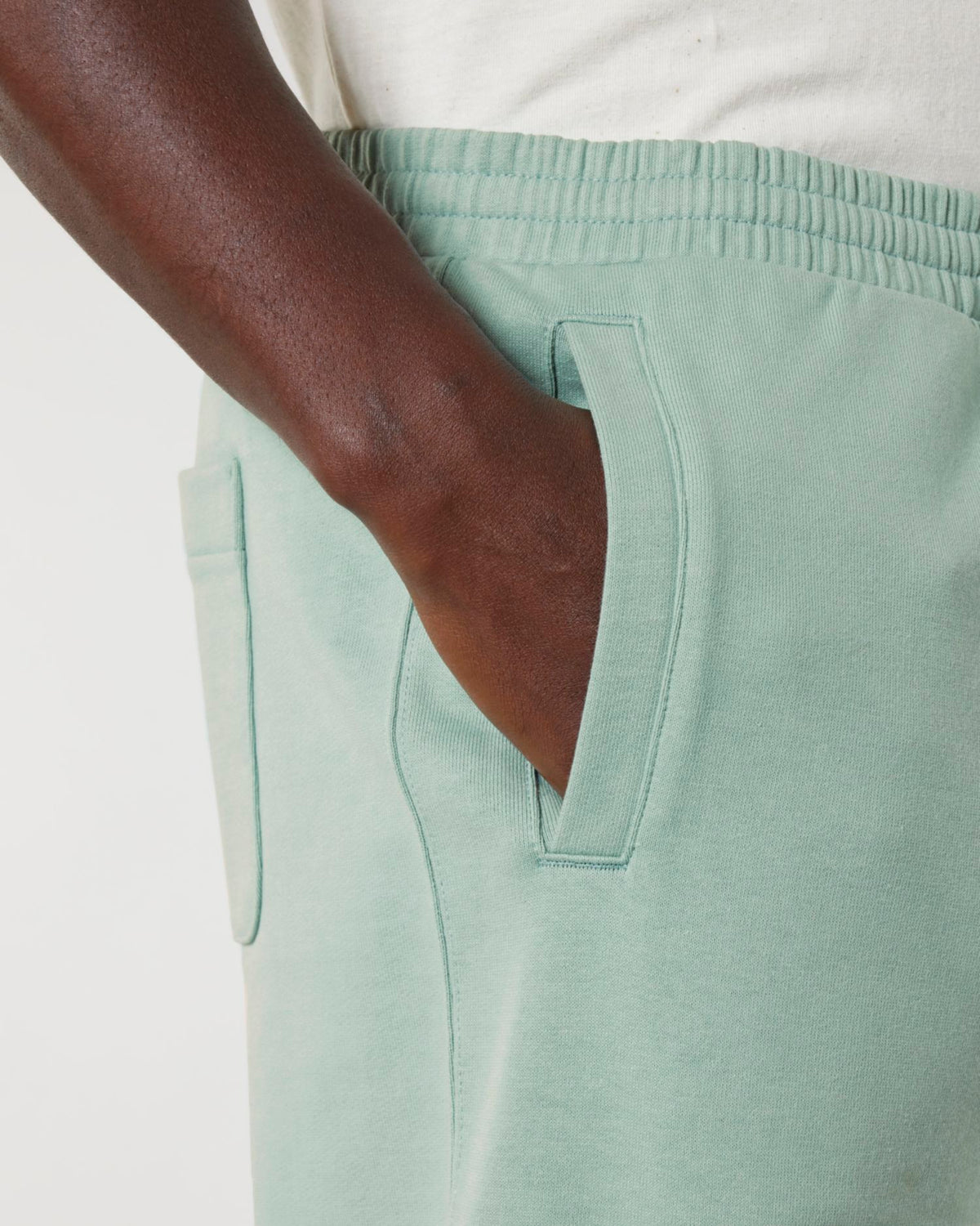 Aloe - C089