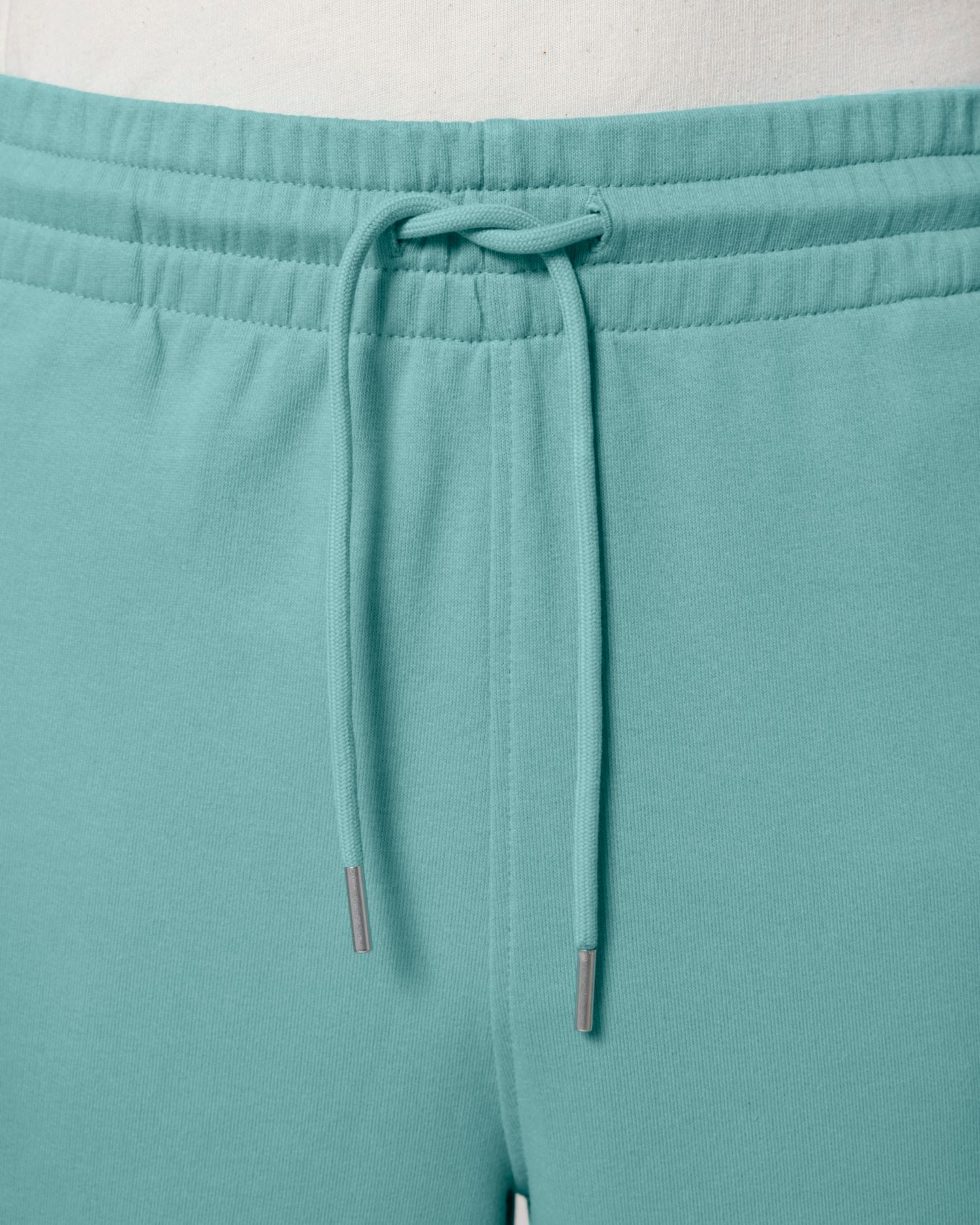 Teal Monstera - C060