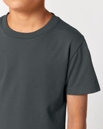 Anthracite - C253