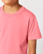 Pink Joy - C360