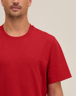 Passionate Red - C172