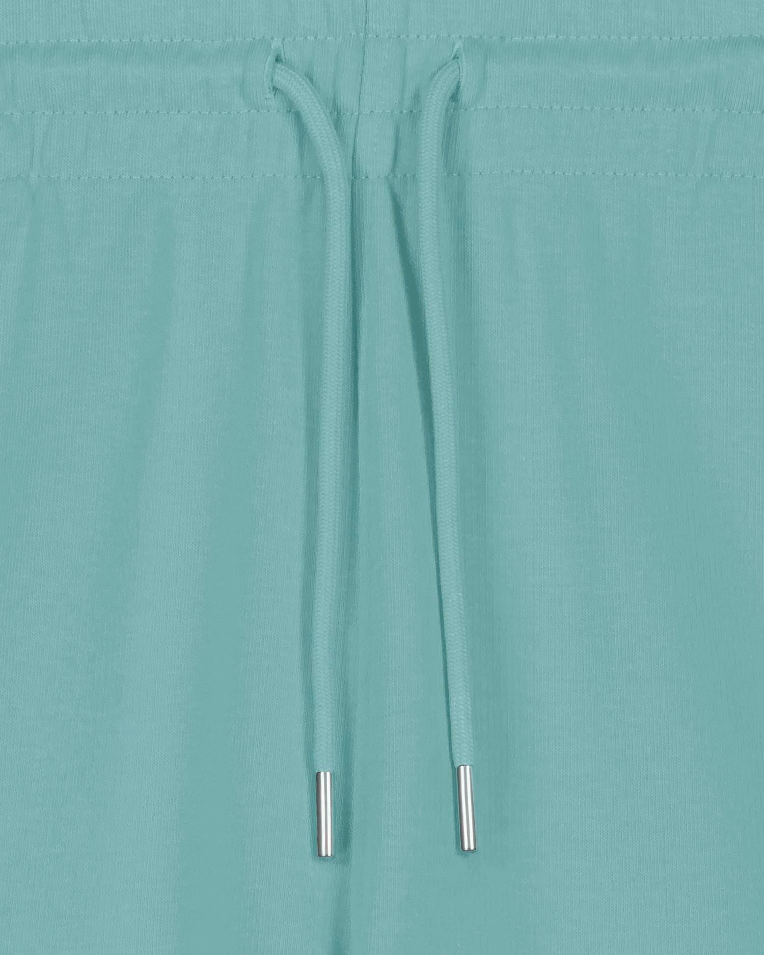 Teal Monstera - C060