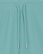 Teal Monstera - C060