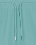 Teal Monstera - C060