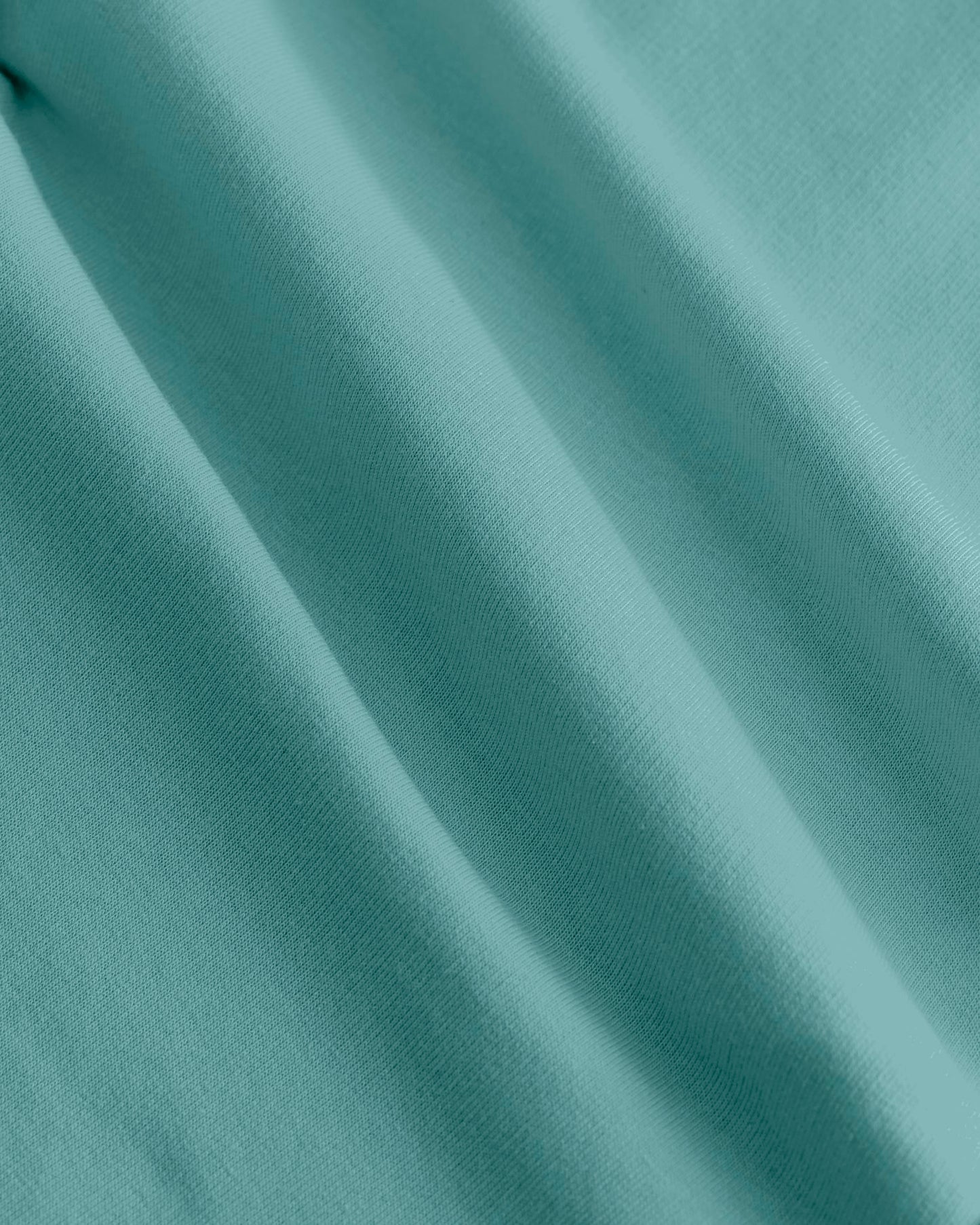 Teal Monstera - C060