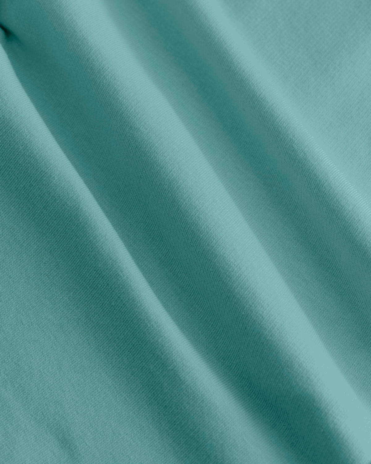 Teal Monstera - C060