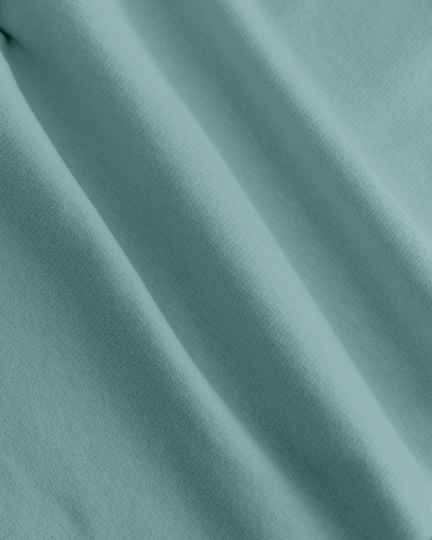 Teal Monstera - C060