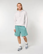 Teal Monstera - C060