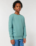 Teal Monstera - C060