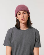 Hibiscus Rose - C062