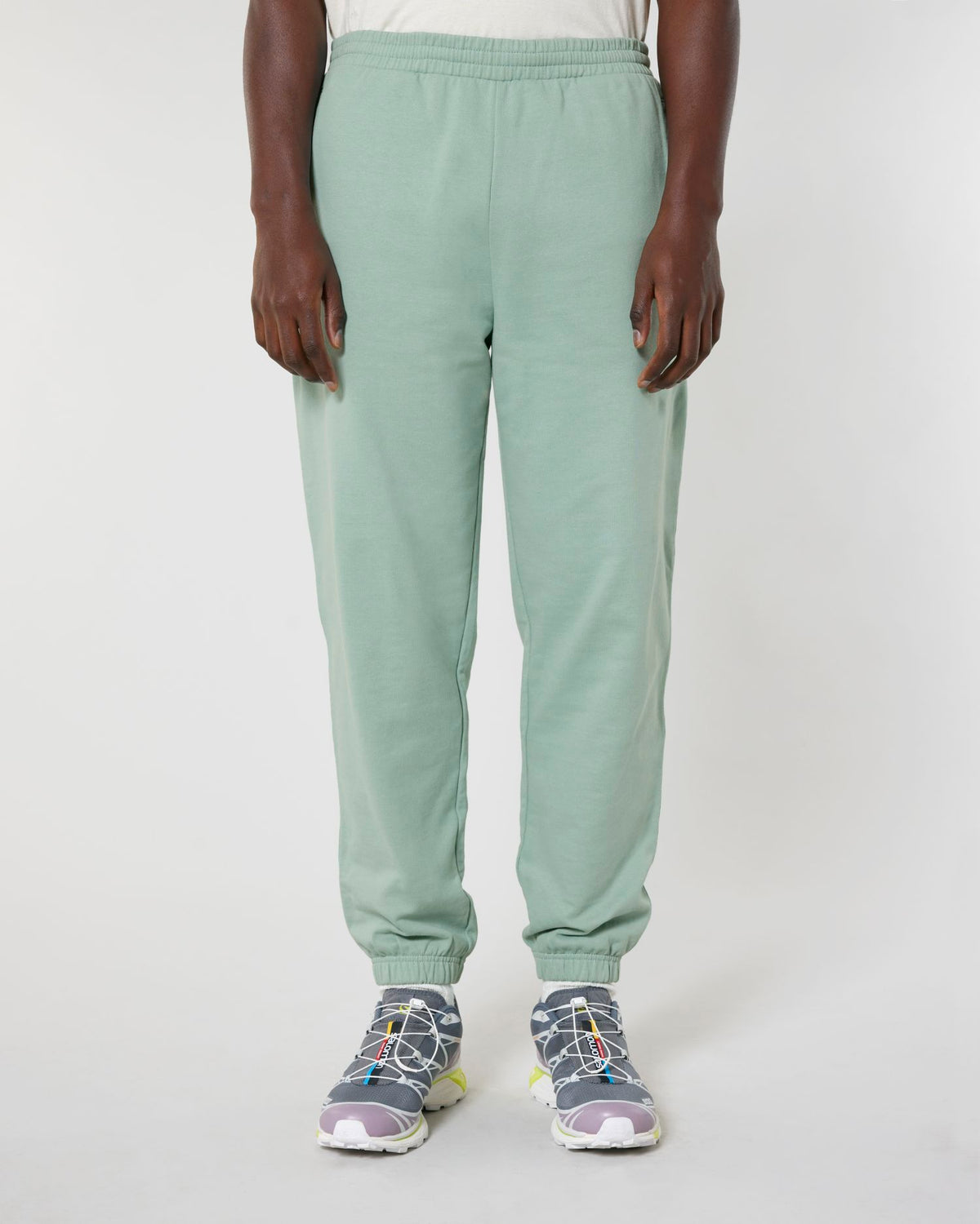 Aloe - C089