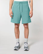 Teal Monstera - C060