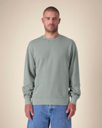 G. Dyed Misty Grey - C157