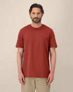 Earthy Red - C150