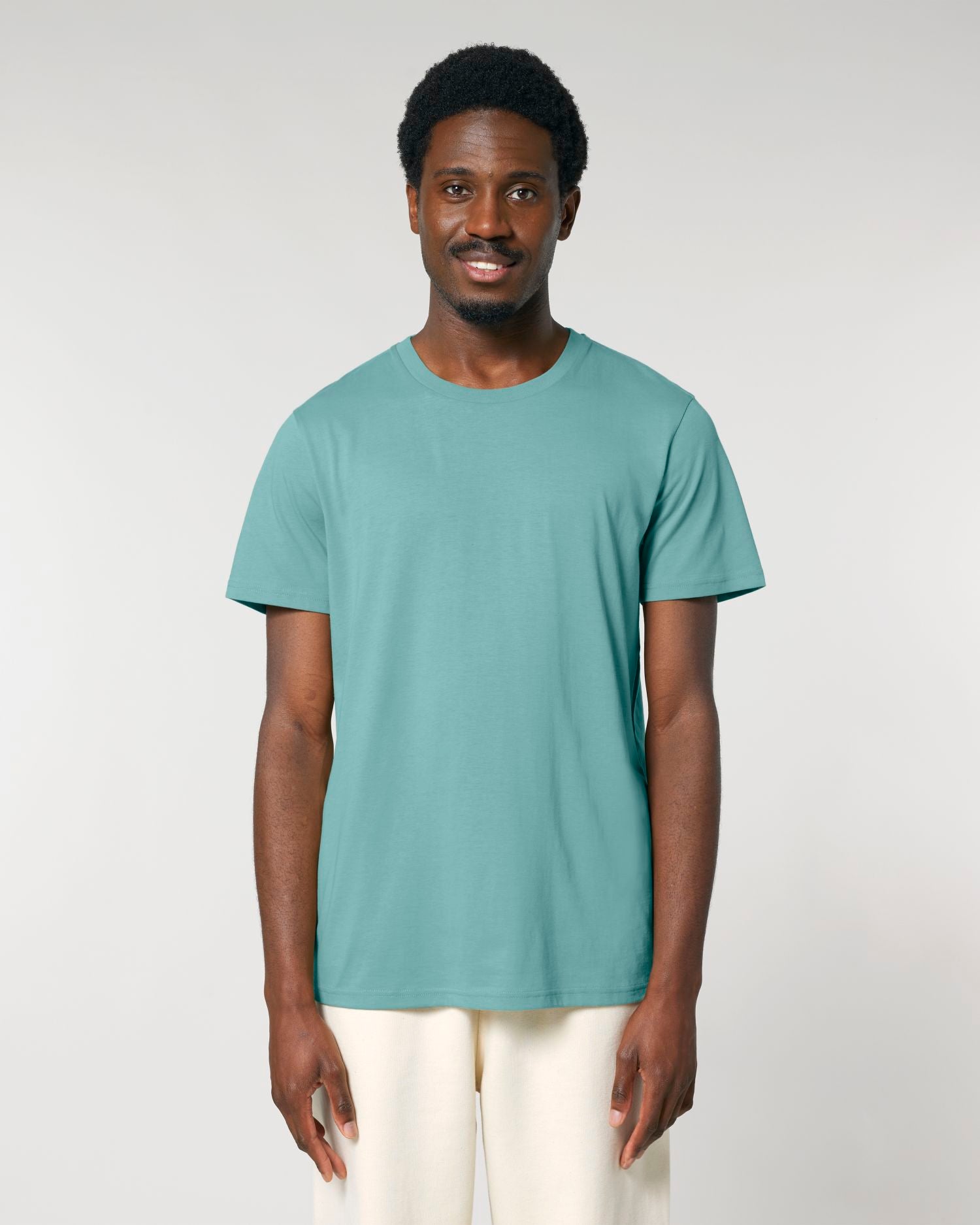 Teal Monstera - C060