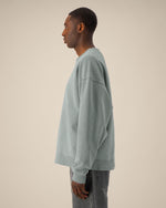 G. Dyed Misty Grey - C157