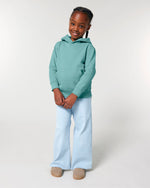 Teal Monstera - C060