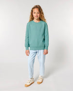 Teal Monstera - C060