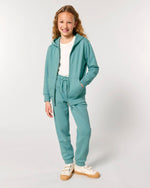 Teal Monstera - C060