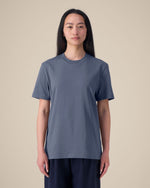 Blue Grey - C156