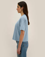 G. Dyed Blue Stone - C732