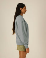 Misty Grey - C138