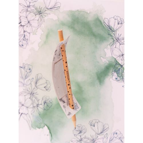 SMG01_011-id963-fev26.jpg