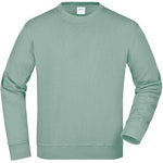 Sweat-Shirt_vert-brumeux_Devant_JN840_CYBER26.jpg