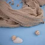 TerraCo_SM_021_j-id410-dec24.jpg