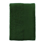 Vert bouteille