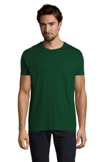 Vert bouteille