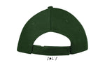 Vert bouteille