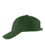 Vert bouteille