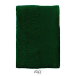 Vert bouteille