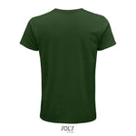 Vert bouteille
