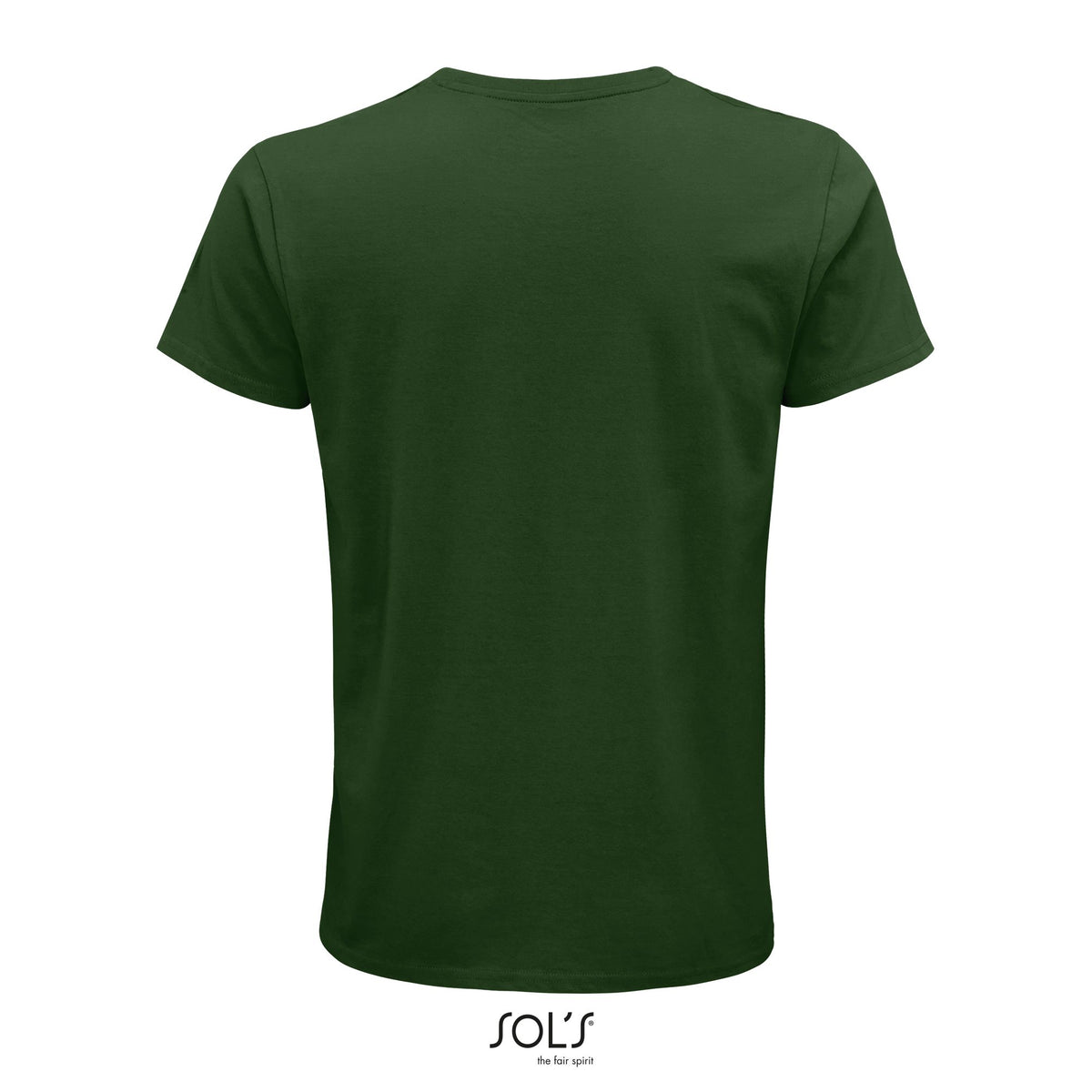 Vert bouteille